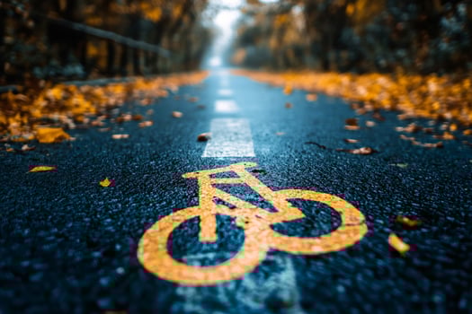 Bicycle lane sign leading into misty autumn forest park photo