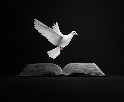 A white dove takes flight above an open book in a striking black backdrop highlighting themes of knowledge and freedom photo