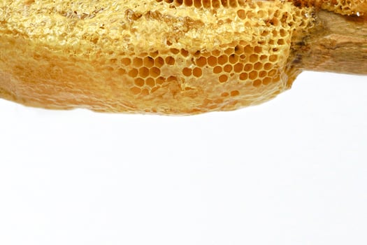 Honeycombs on wood stick in a beehive on white background. Beekeeping, breeding and keeping bees. photo