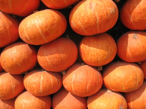 wall of orange pumpkin under sunshine at noon photo
