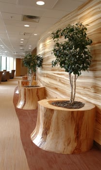 Modern office interior with wooden planters and plants photo