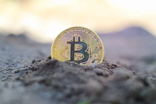 Coin bitcoin in the ground. The concept of bitcoin growth. photo