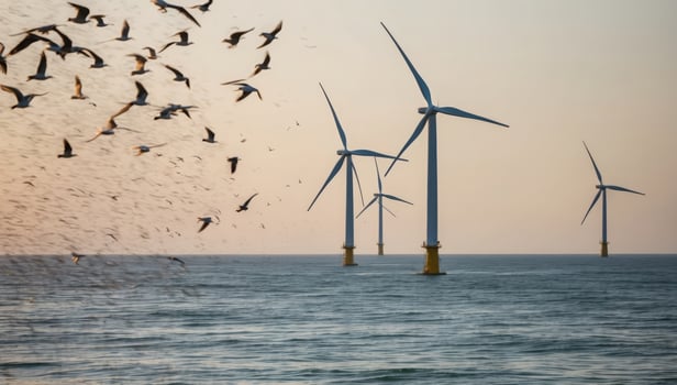 Wind turbines spinning on a coastal hillside, generating clean energy from ocean breezes photo