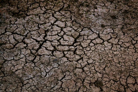 Cracked soil due to drought, Brown dry soil or cracked ground texture background, Aridity, cracked mud. photo