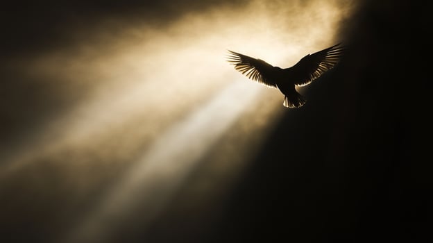 angel light sunbeam photo