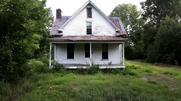 Abandoned Old House in Overgrown Rural Area Surrounded by Greenery photo