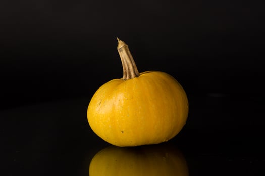 round orange pumpkin isolated on black background photo