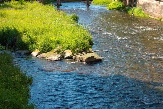 Flowing river surrounded by lush green vegetation under bright sunlight in a tranquil setting photo