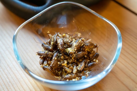 Roasted crickets in bowl, edible insects and sustainable protein source photo