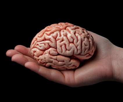 Human brain displayed in an open hand against a black background illustrating anatomical details and texture photo