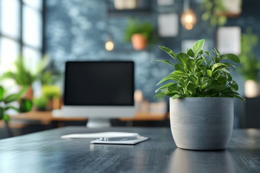 Home office setup with a potted plant on a desk with a computer photo