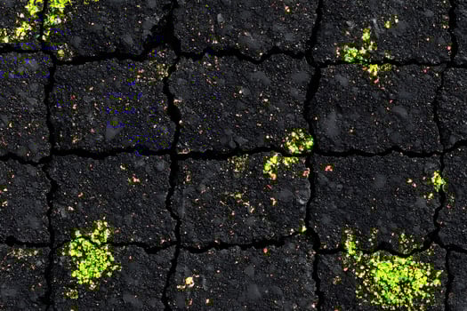 Asphalt crack texture covered with green moss. An abstract and unique background suitable for use in various design projects. A natural element blending with artificial surfaces. photo