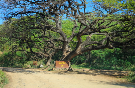 Hawaii, USA, 2025 - Entrance to Polihale State Park photo