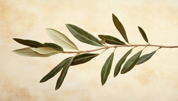 Serene Olive Branch on Beige Background Symbol of Peace and Tranquility photo