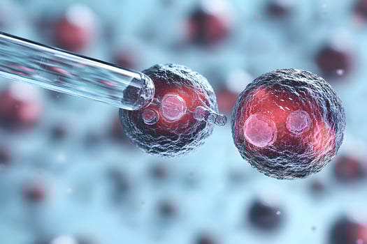 Scientific Exploration of Stem Cells and Biotechnology for Medical Research and Innovation photo