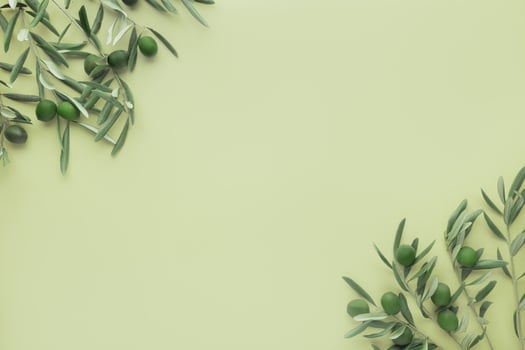Olive branches with green leaves on light green background. photo