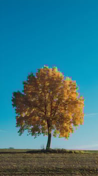 Solitary tree with golden leaves in open field beneath vibrant blue sky. Vertical Mobile Wallpaper photo