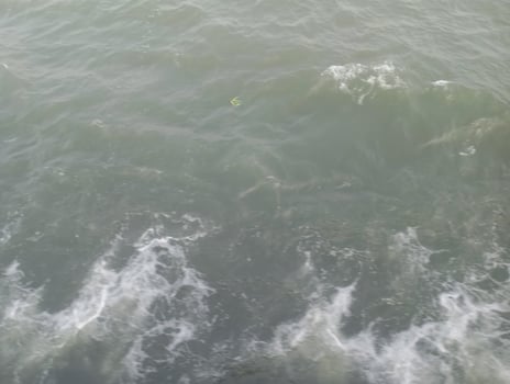 a bird flying over the water in the ocean photo