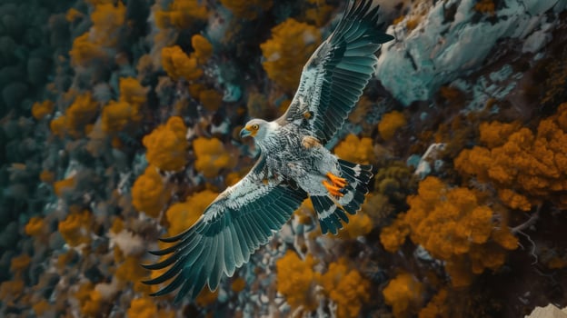 Majestic eagle soaring above vibrant autumn foliage in a serene natural landscape photo