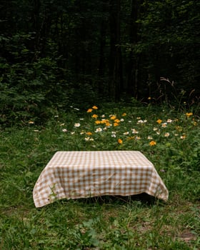 Checkered tablecloth on a table in a forest clearing photo