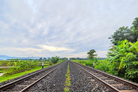Railway Tracks Across Green Rice Fields on a Sunny Morning. Two-Way Railway Across Vibrant Fields at Sunrise photo