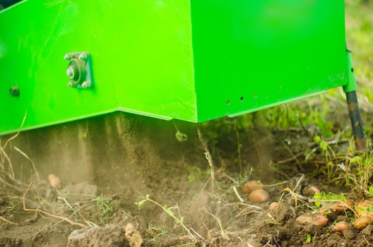 The process of digging potatoes out of the ground. Using machines to improve food production. Harvesting campaign with a digging machine. Farming, agriculture. Countryside farmland. photo