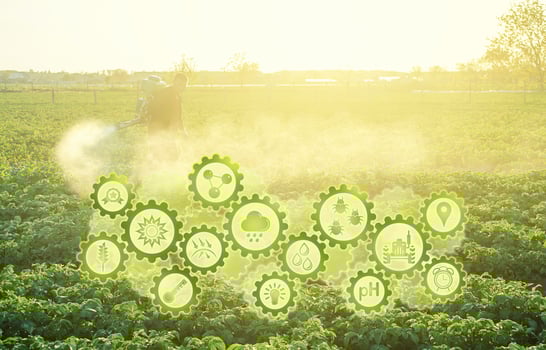 Futuristic innovative technology gears and a farmer processing a potato plantation with a sprayer. Protection from insect pests and fungal diseases. Plant rescue. Agriculture and agribusiness photo