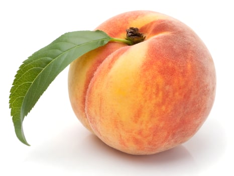 juicy peach slices isolated on white background. photo