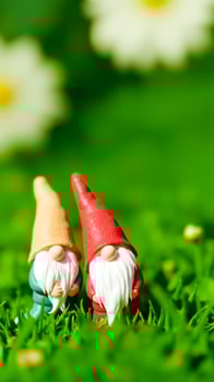 two cheerful gnomes sitting in a vibrant green photo