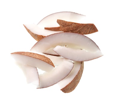 Coconut slices isolated photo