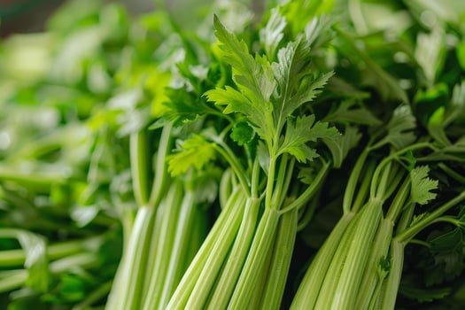 Fresh celery stalks forming green healthy background photo
