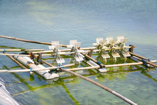Aeration Paddle Wheels in Aquaculture Pond for Oxygenation photo