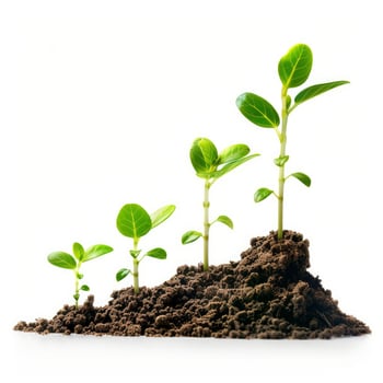 Five plants growing showing business growth photo