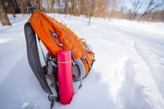A backpack with a pink water bottle sitting in the snow photo