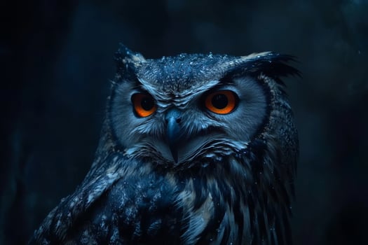 Close up of owl with orange eyes on dark background photo