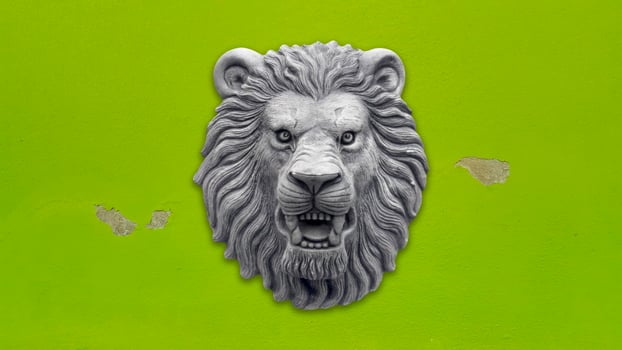 Grey Lion head statue on green wall photo