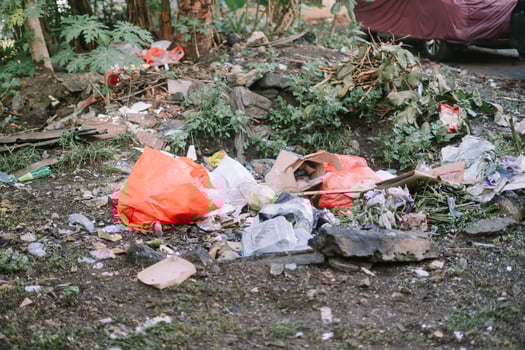 Pile of Garbage photo
