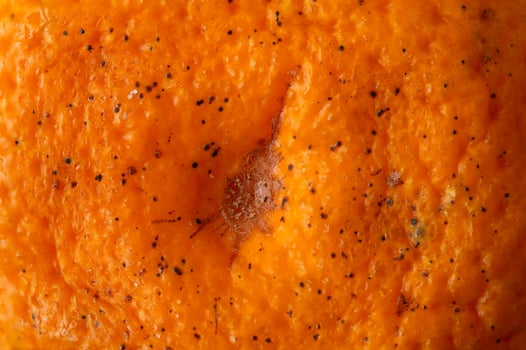Close-Up of Textured Orange Skin in Detailed photo