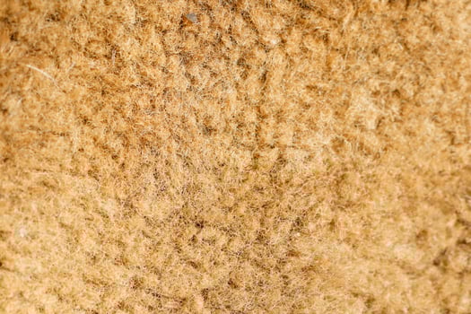 An Incredible CloseUp of a Textured Natural Material That Evokes Style and Warmth photo