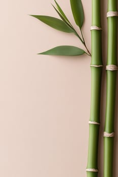 Soft green bamboo stalks showcase their natural knots and leaves against a light beige gradient background. The tranquil arrangement invites creativity and peaceful reflection photo
