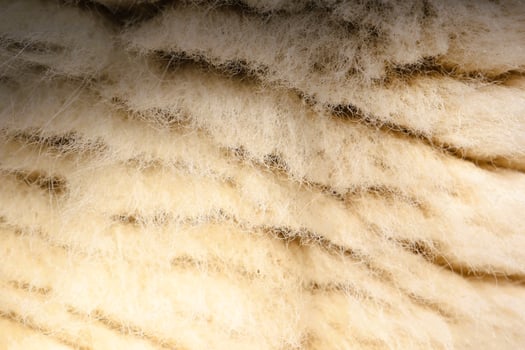 A stunning closeup photograph showcasing the soft texture of fur featuring delicate stripes photo