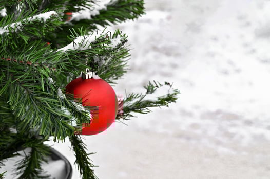 Red Christmas balls on a wonderful day hanging on a fir branches covered by snow. New Year tree with decorations, magic of a holiday photo