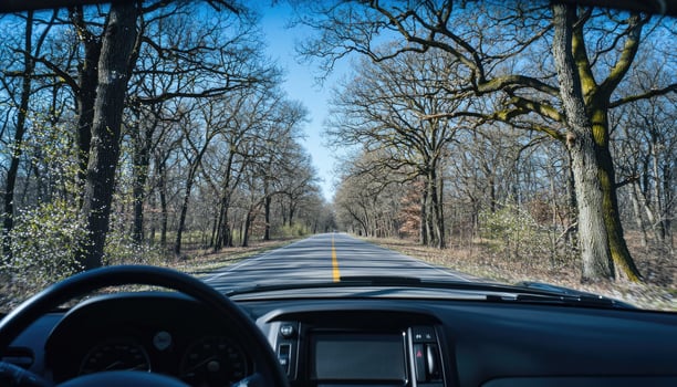 Driving through a scenic wooded area on a sunny day photo