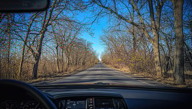 Driving down a country road lined with bare trees photo