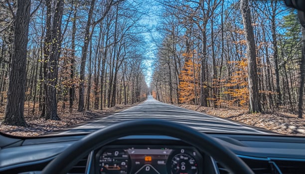 Driving through a scenic autumn forest road photo