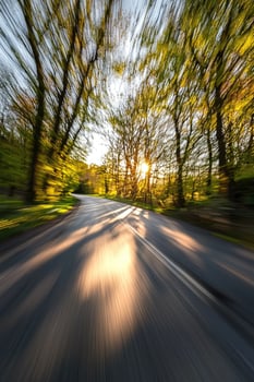 Sunlit Road Through Lush Green Forest Canopy photo