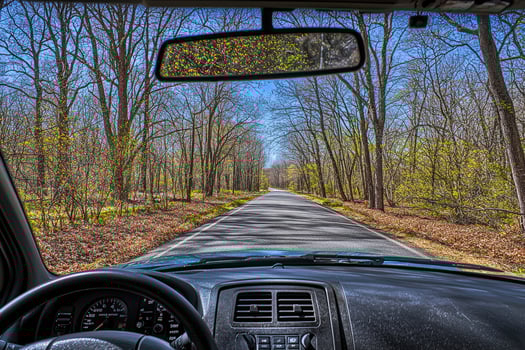 Driving through a forest road on a sunny day photo