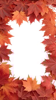 red maple leaves frame vertical photo