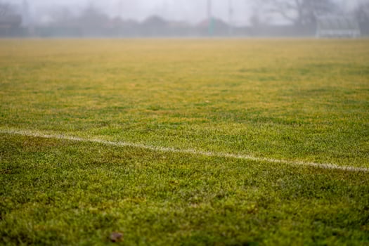 View of green grass on a street football field in early spring. photo