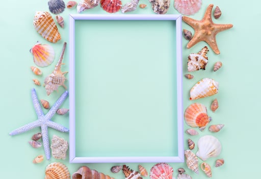 Marine frame with seashells and starfishes photo